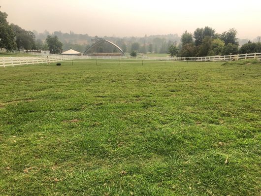 Grassy park field with a white fence, trees, and a water fountain in the distance under a hazy sky