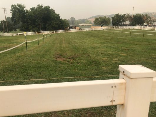 White fence bordering a grassy paddock with trees and a small building in the distance