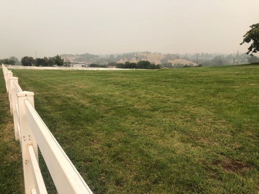 Grassy field beside a white fence under a hazy sky, with distant houses on the horizon