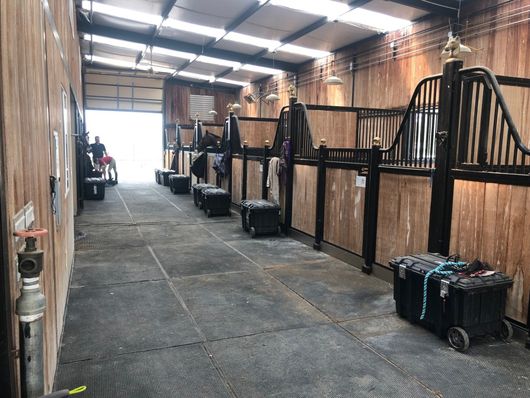 Interior of a horse stable aisle with stalls, hanging blankets, and tack carts along both sides