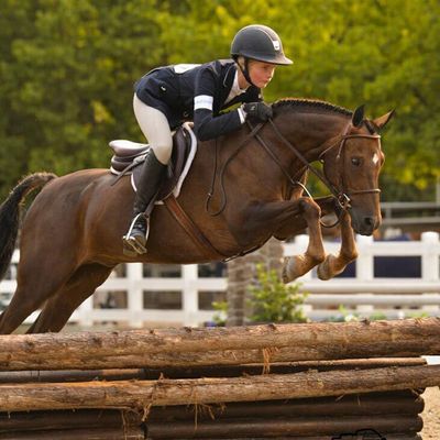 Hunter Jumper Image