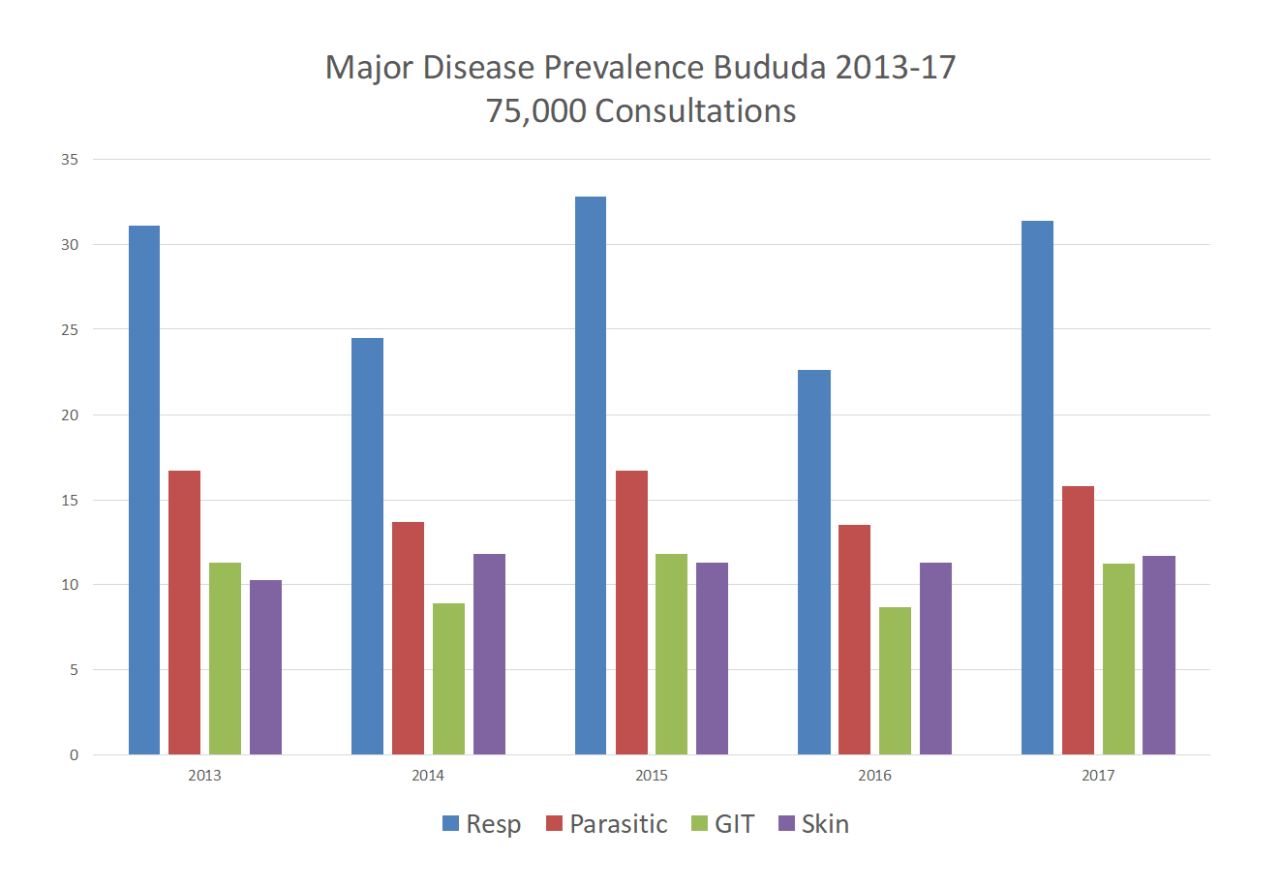 Bar graph showing major disease prevalence in Bududa from 2013-2017. Includes data for Flu, Parasitic, GIT, and Skin diseases.