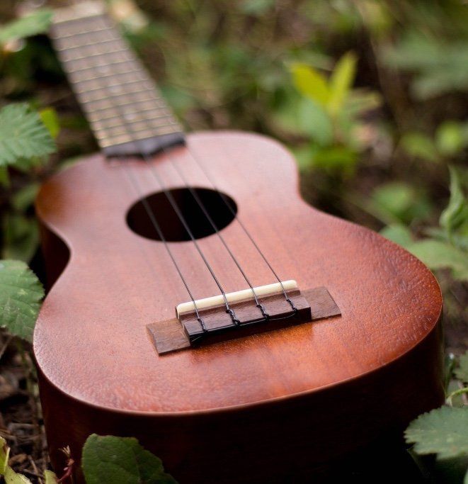 Ukulele