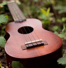 Ukulele
