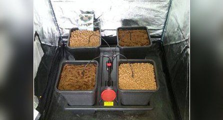 Hydroponic systems