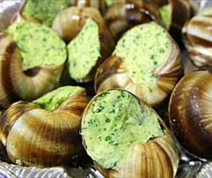 snails