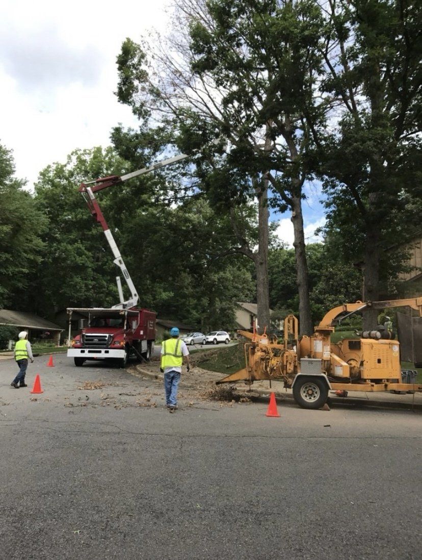 Roadwork scene with workers, cone markers, a lift truck, and a wood chipper near trees
