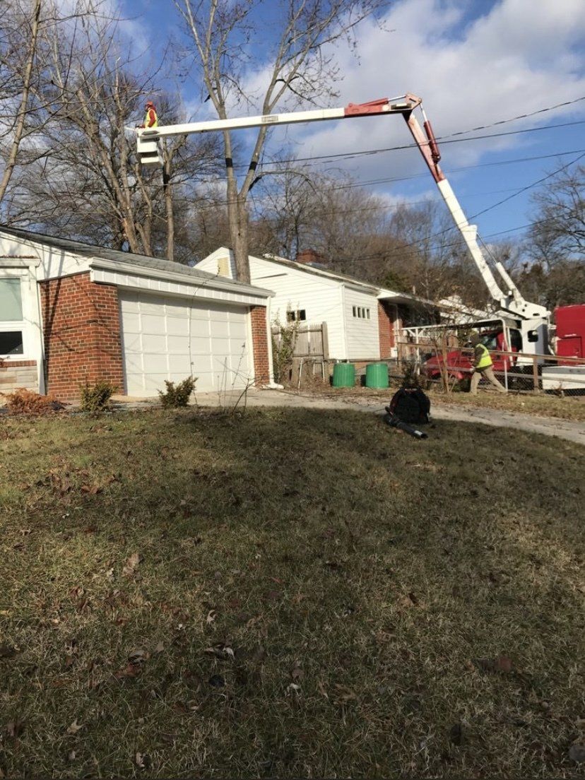 Bucket truck worker trimming tree branches over a garage in a residential yard
