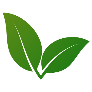 Two green leaves forming a simple eco-friendly logo
