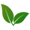 Two green leaves forming a simple eco-friendly logo