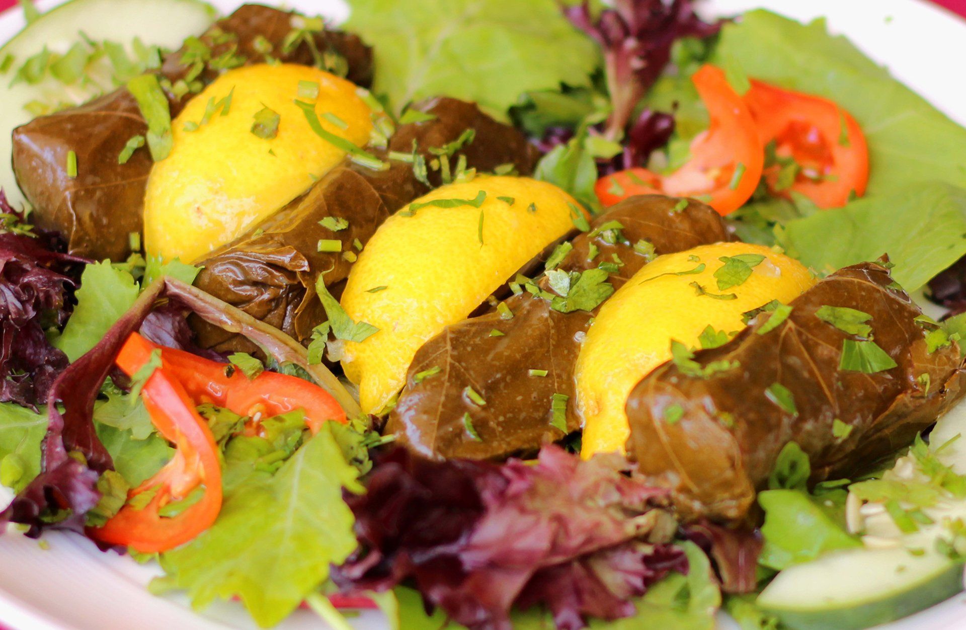 cold Turkish appetizers at Bosphorous in Orlando