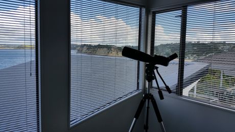 living room window blinds
