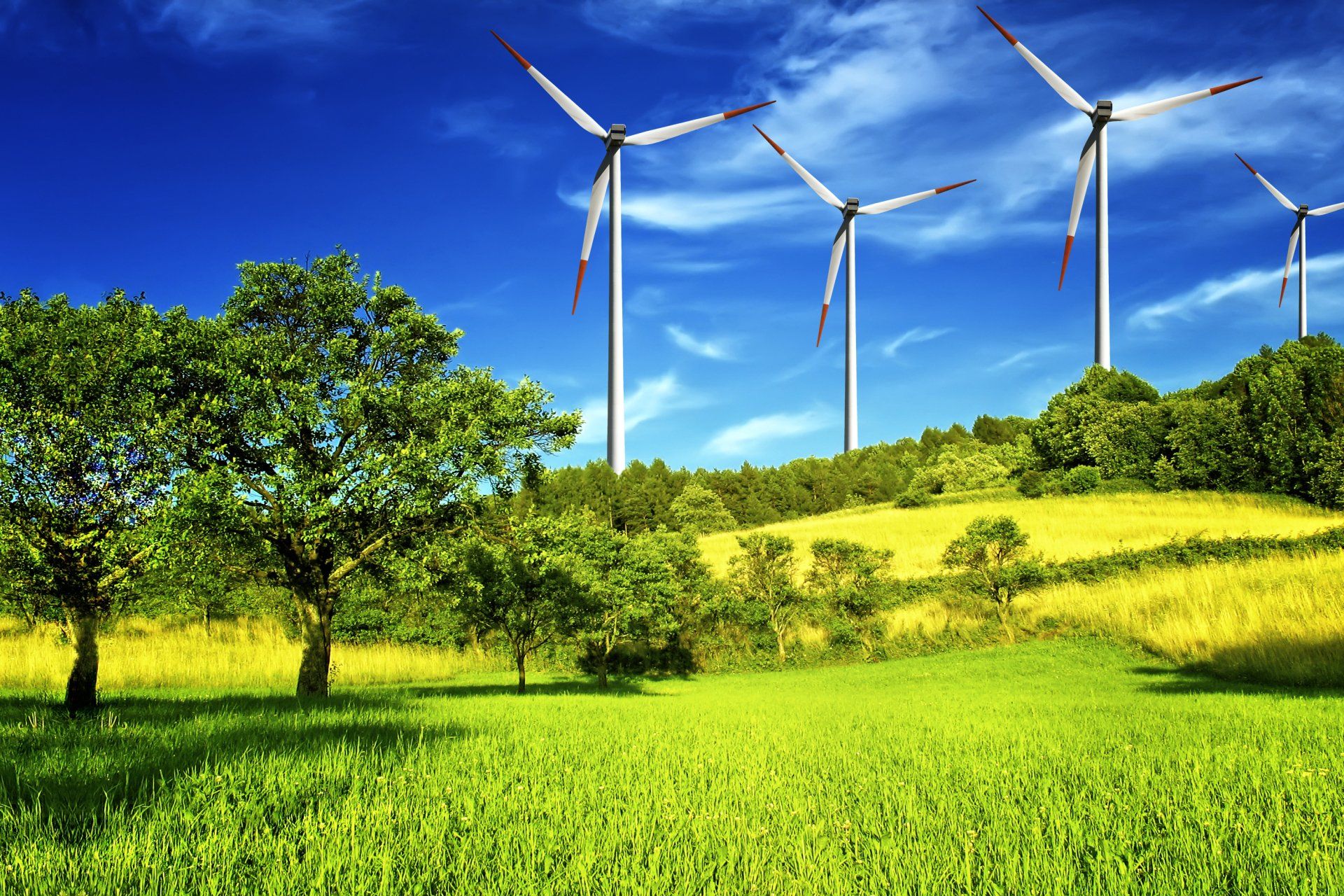 A field with trees and windmills in the background