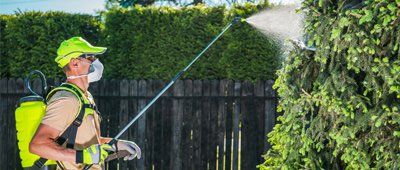 Pest Control — Man Spraying Outdoor in Olmsted Falls, OH Pest Control — Man Spraying Outdoor in Olmsted Falls, OH