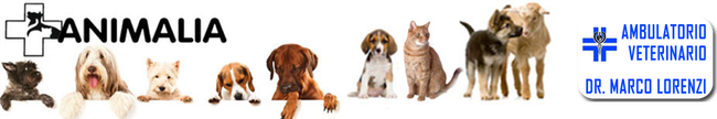 Animalia AMBULATORIO VETERINARIO DR. MARCO LORENZI-LOGO