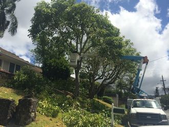Sherwood's Tree Service excavator used for tree clearing