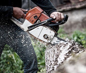 Sherwood's Tree Service trunk cutting in progress