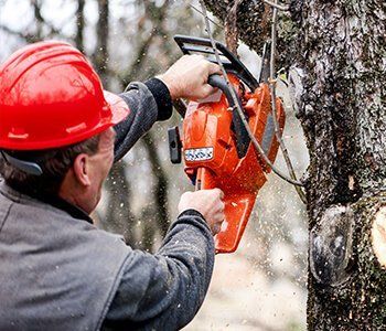 24 hours tree services Sherwood's Tree Service professional sawing a tree branch
