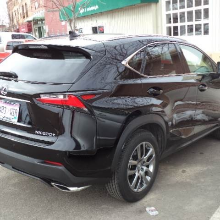 Black Back View — Montrose, CO — Mylar's Auto Refinishing Service