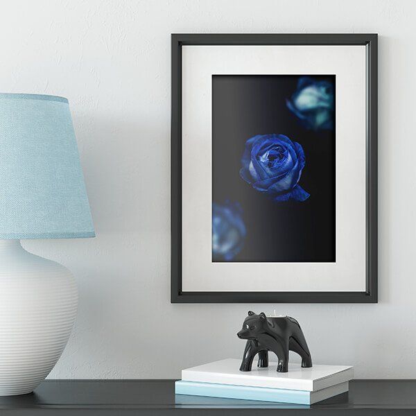 Find out about our Fine Art Reproduction