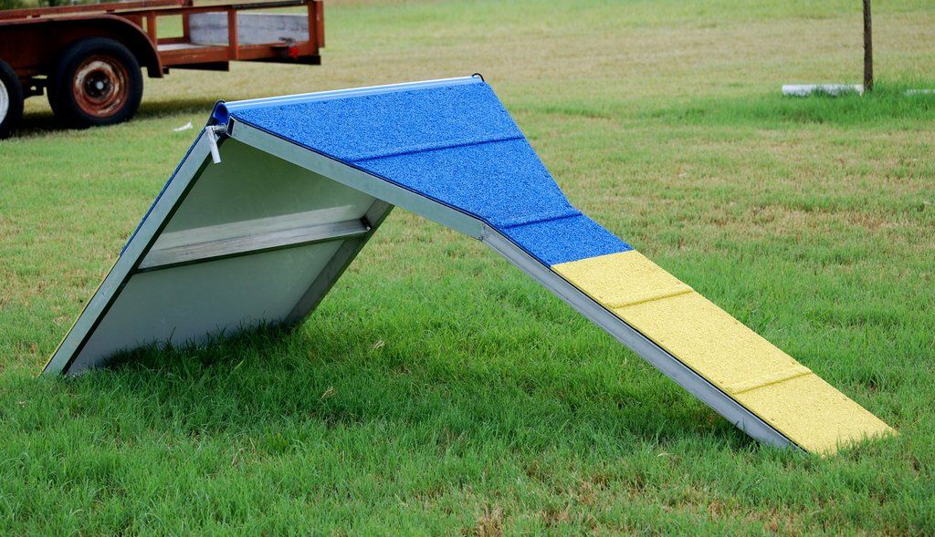 Dog Agility Contact Trainers