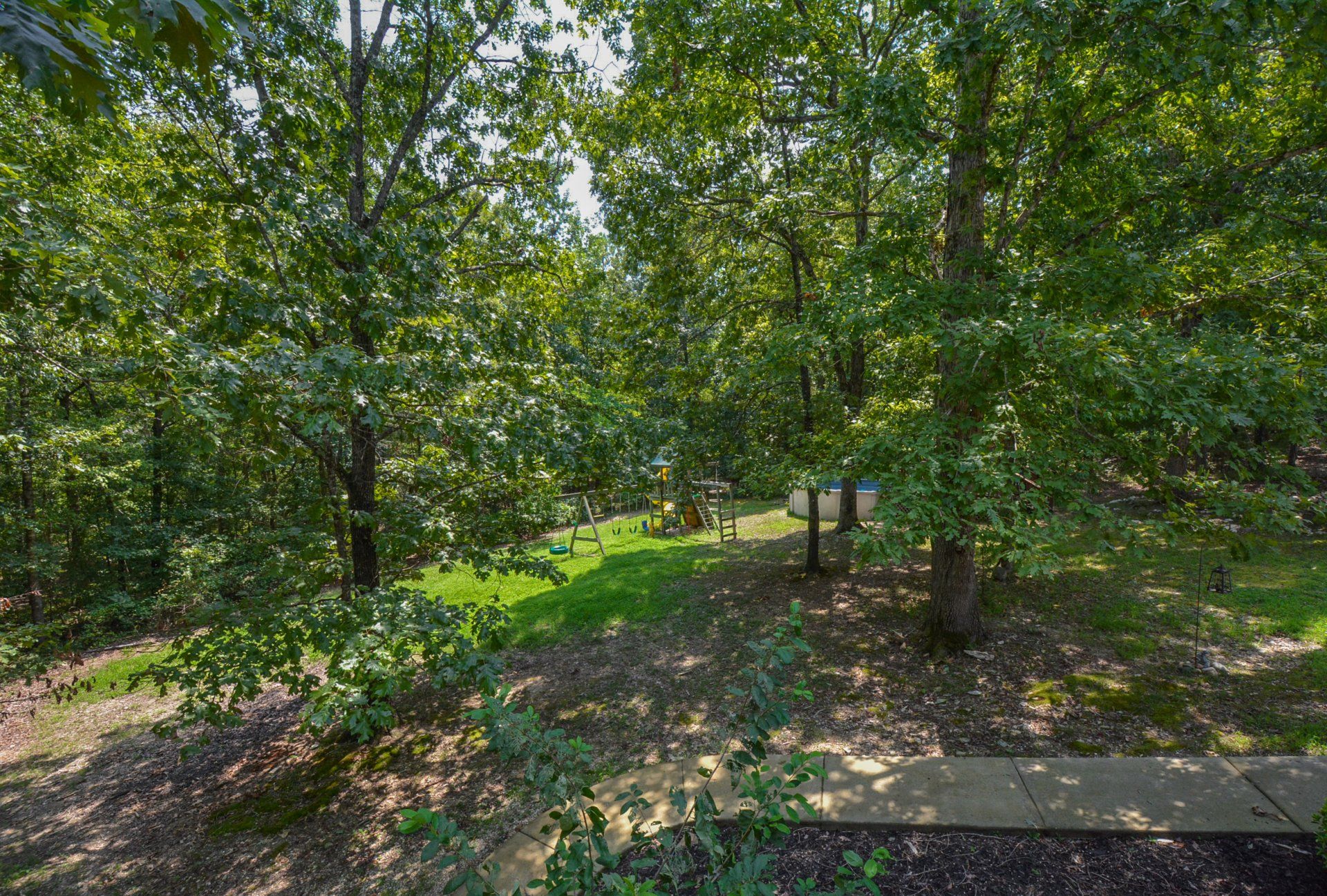 Green trees and foliage surround a small grassy area. Sunlight filters through the leaves.