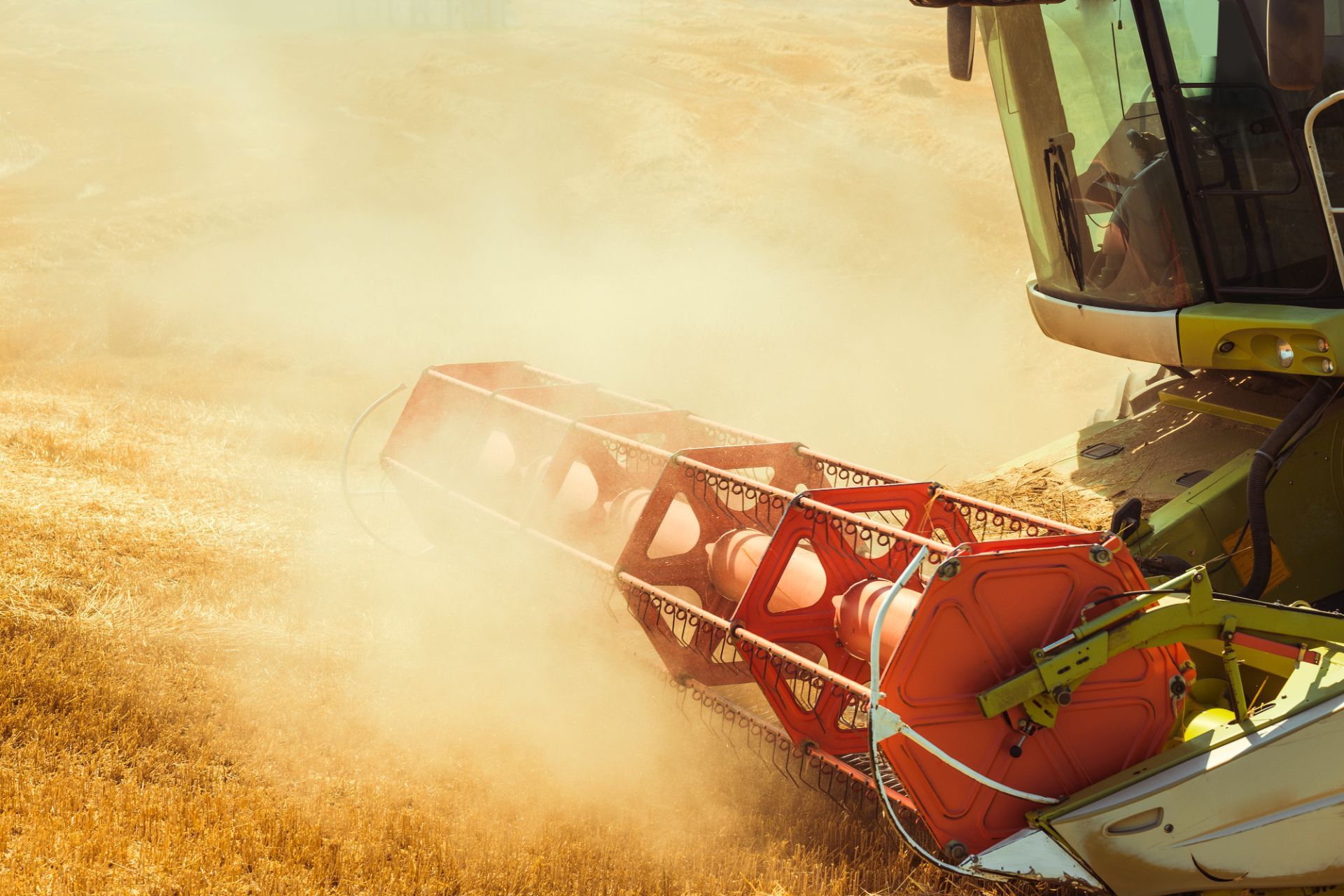 Agricoltura