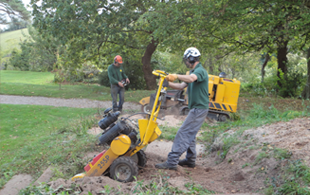 Arboricultural services