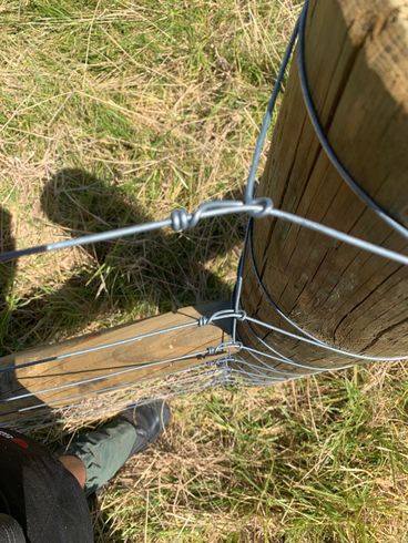 fences