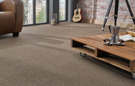 carpet treatment