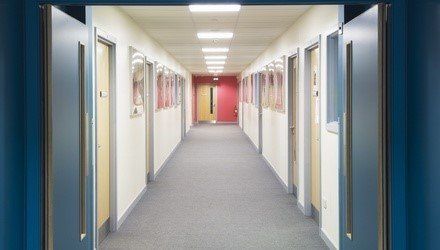 carpet