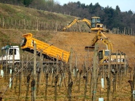 mezzi per movimentazione terra