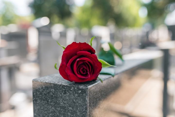 rosa su una lapide
