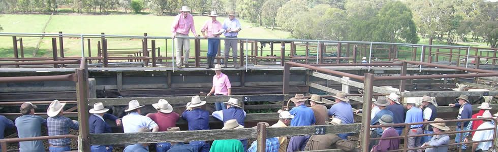 Onsite Auctions