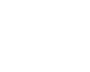 gavel graphic