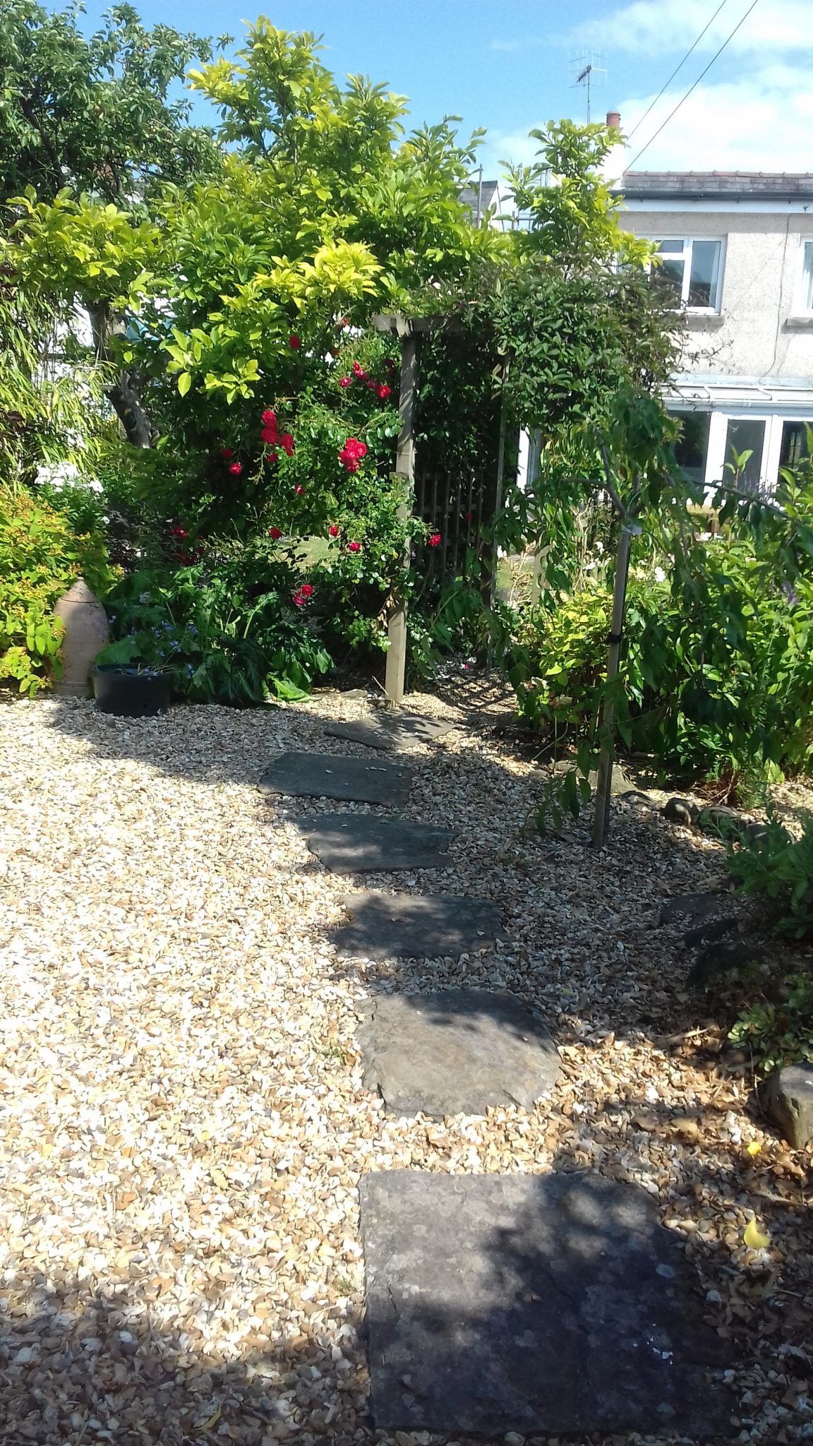 Driveway in garden