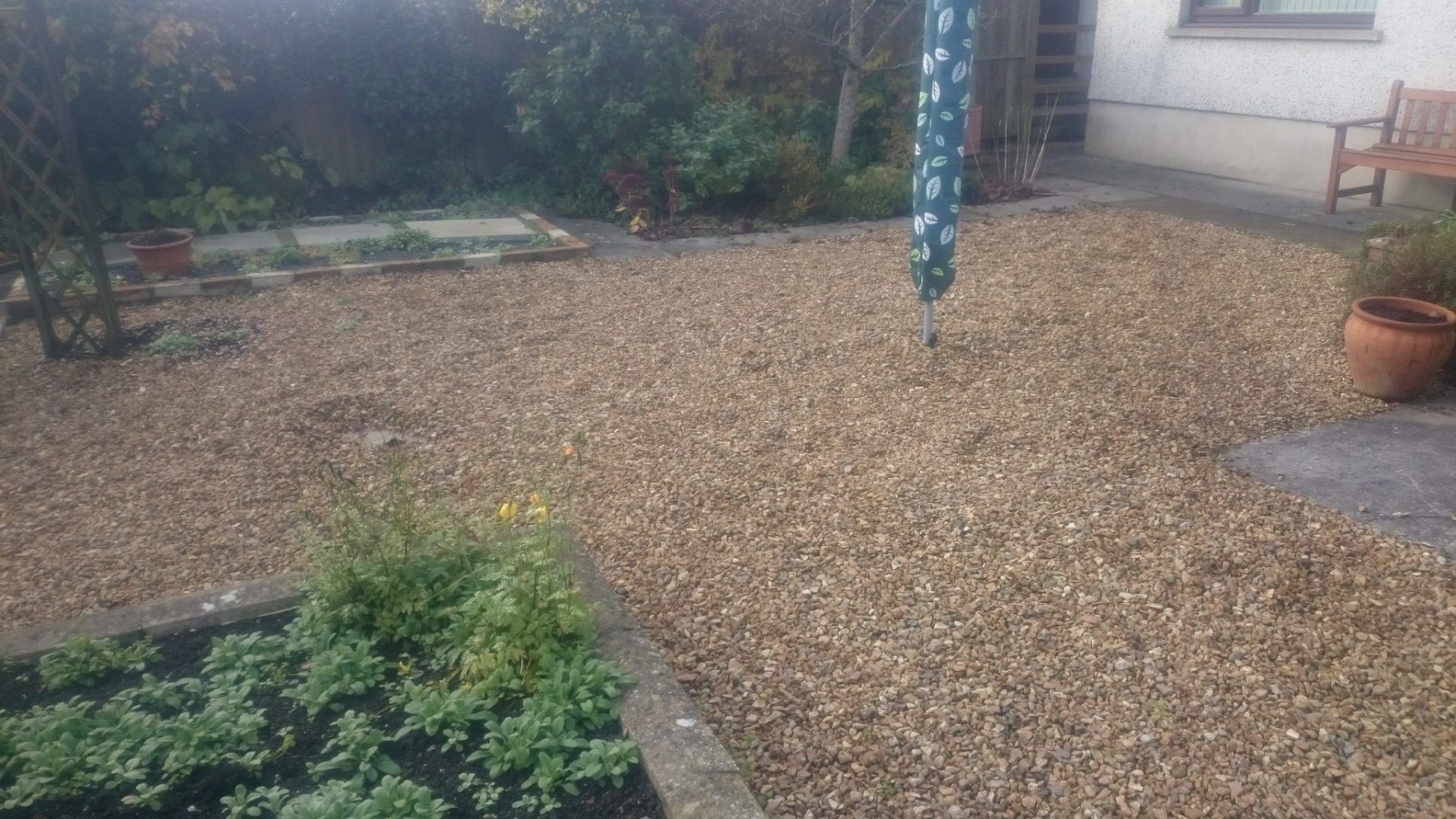 Back door garden