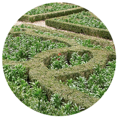 Circular garden design