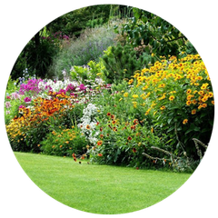 Beautiful garden landscape