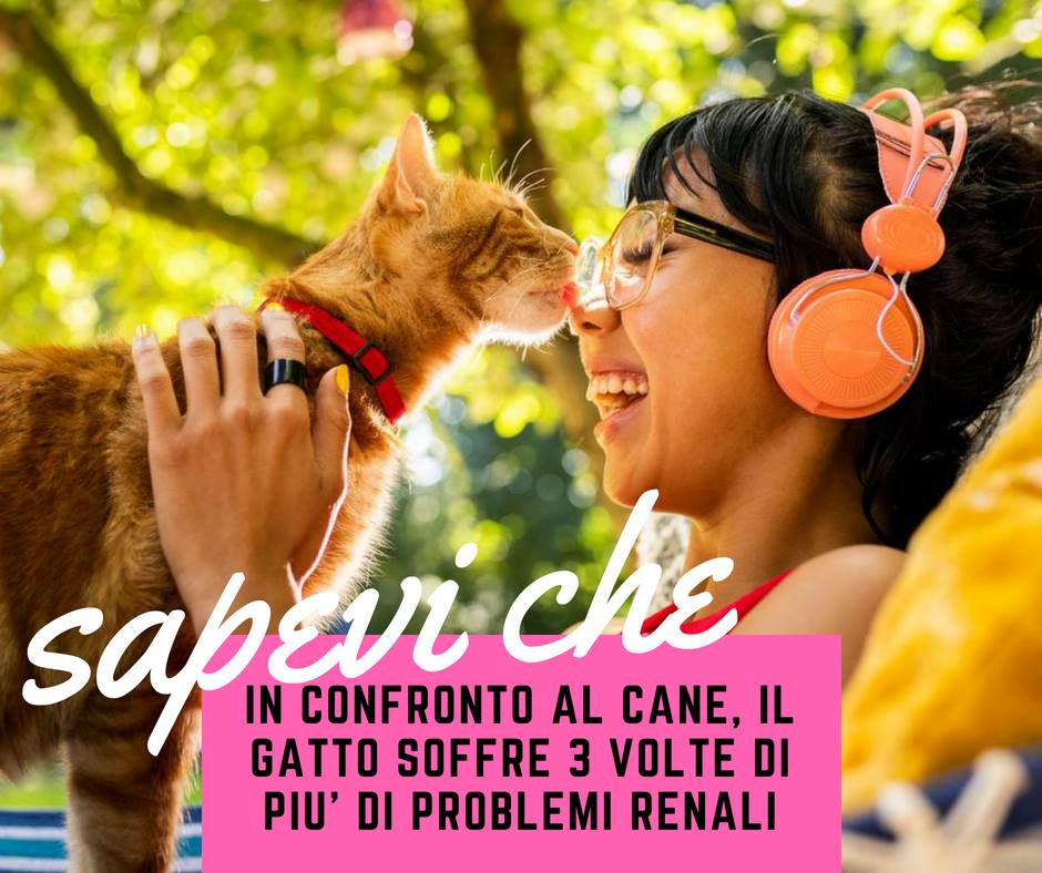 prevenzione veterinaria