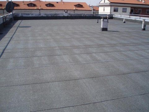 copertura per tetti in guaina
