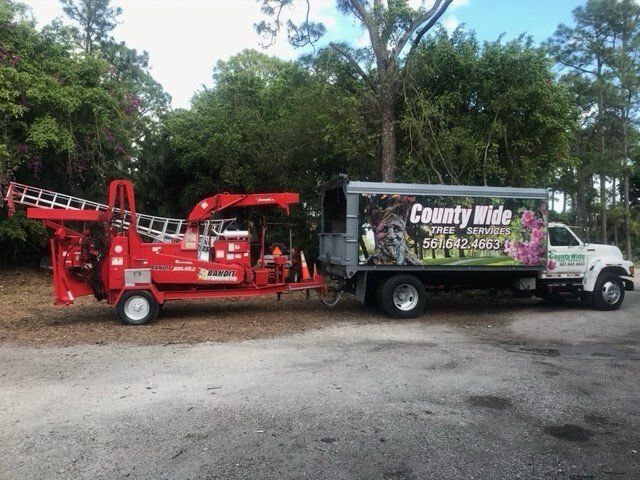 Countywide Tree Service Countywide Tree Service
