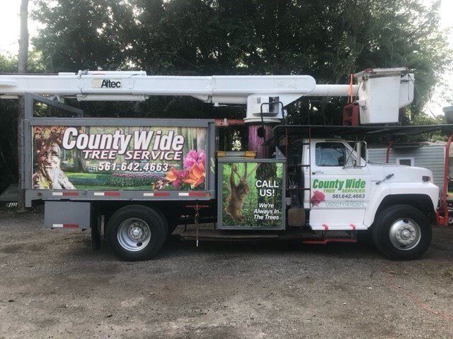 Company Truck Used In Tree Removal — Lantana, FL — Countywide Tree Service