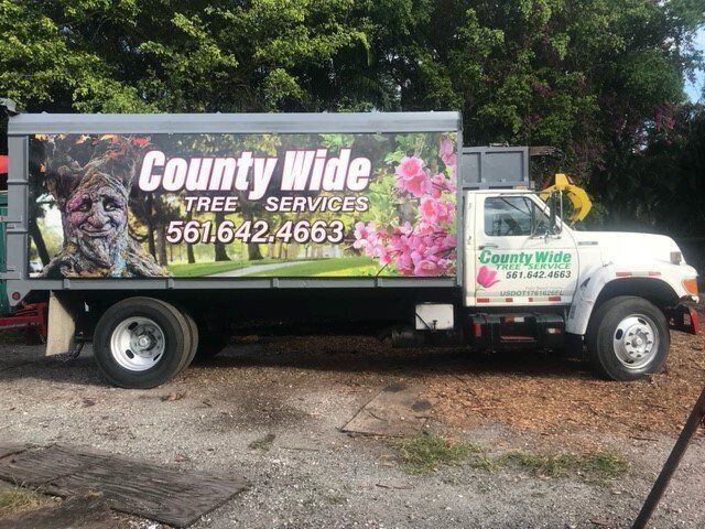 Countywide Tree Service Car — Lantana, FL — Countywide Tree Service