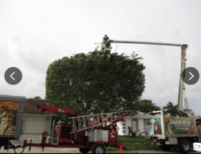 Commercial Tree Trimming — Lantana, FL — Countywide Tree Service