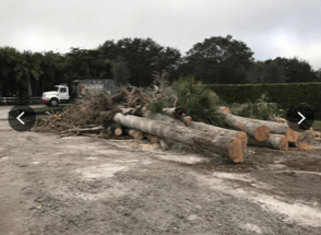 Wood Logs — Lantana, FL — Countywide Tree Service
