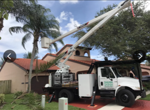 Tree Removal In A Residential Area — Lantana, FL — Countywide Tree Service