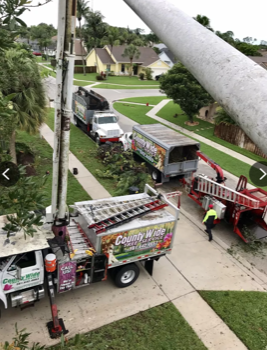 Tree Removal — Lantana, FL — Countywide Tree Service