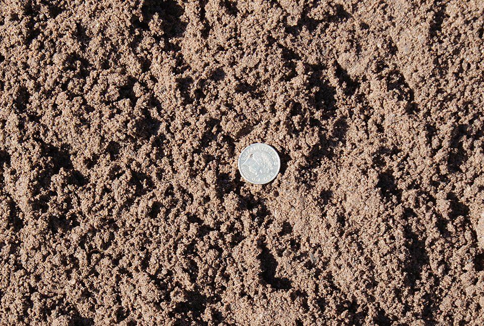 Washed Sharp Sand