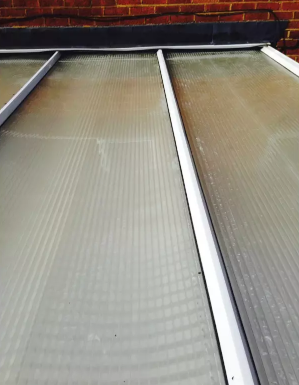 carpet cleaning services